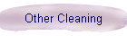 Other Cleaning